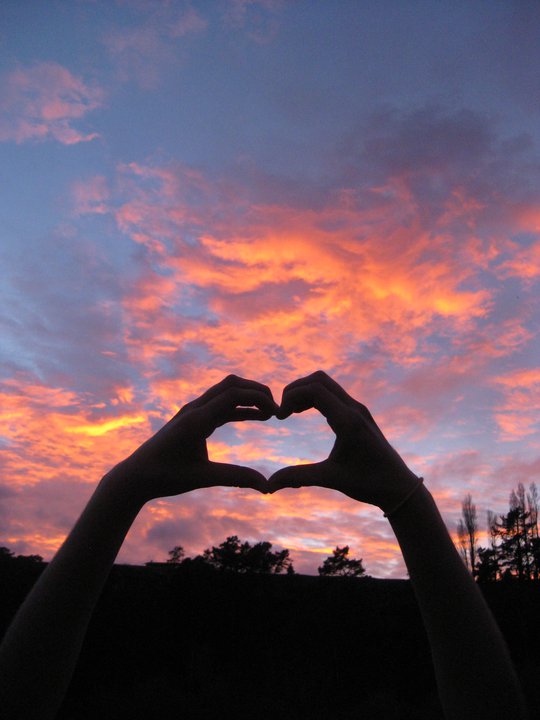 246810_10150655795665534_655575533_19324166_7477036_n