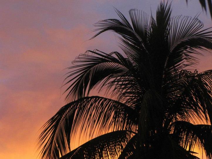 10189_636973116360086_1571477617_n