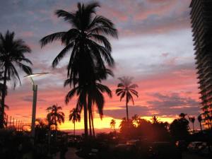 1510665_636973266360071_1937297186_n