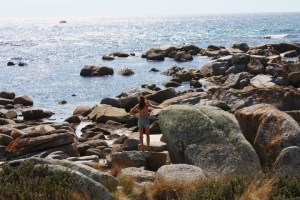 189896_155045581223362_100001537630490_319614_1142926_n