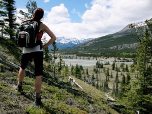 488281_10151020778496711_1455314786_n