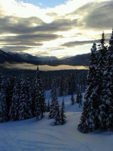 000000000000000000powderking