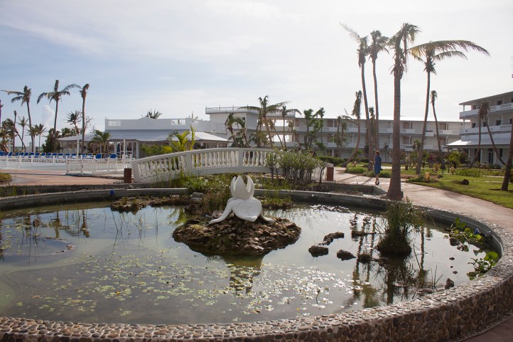 Melia Cayo Guillermo.jpg