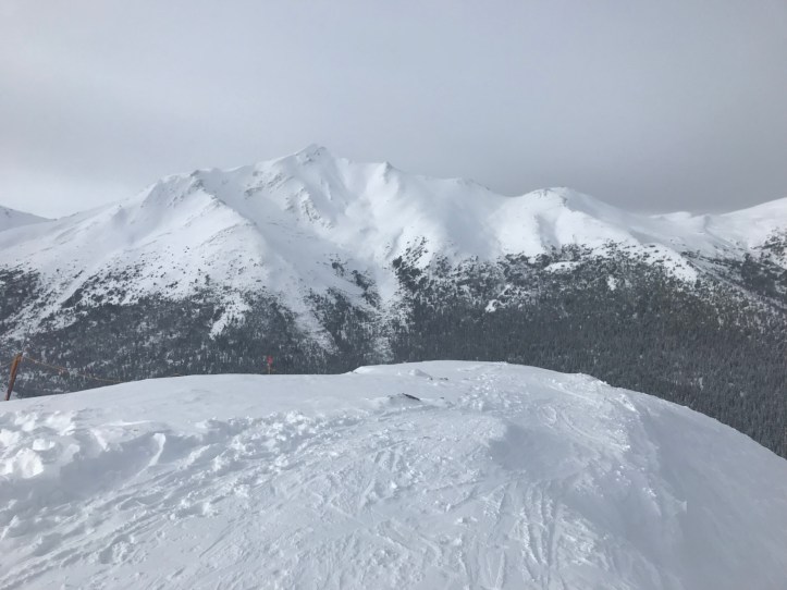 2A2EFF68-B55F-41F9-B942-D9AB7934C420