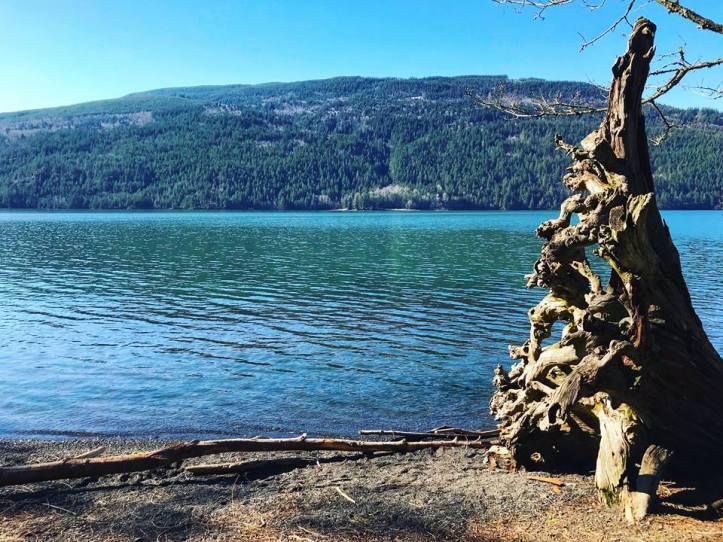 28907138_10213631114065370_549739858_n