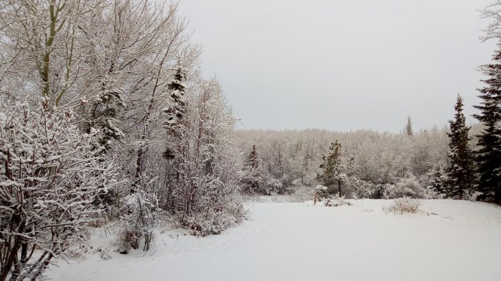 DC70BD15-4DD9-4675-8DD5-571AE52D9F88